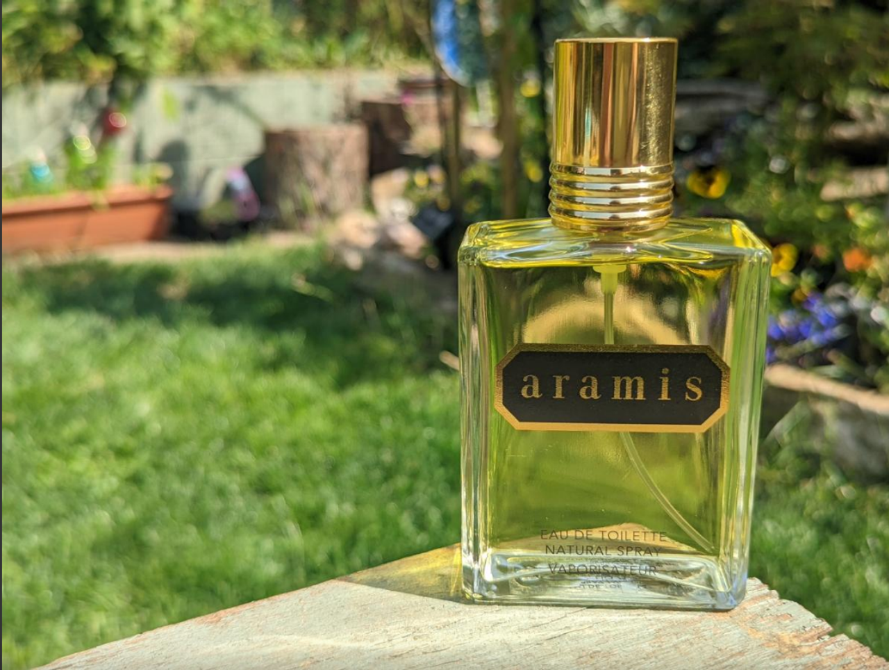 Aramis perfume in garden setting